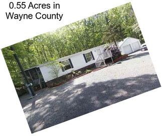 0.55 Acres in Wayne County