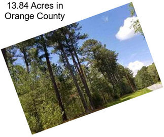 13.84 Acres in Orange County