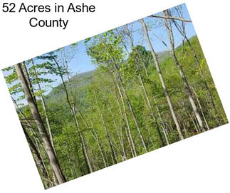 52 Acres in Ashe County