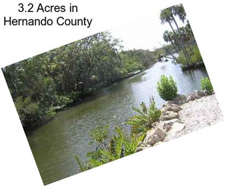 3.2 Acres in Hernando County