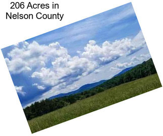 206 Acres in Nelson County