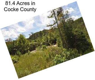 81.4 Acres in Cocke County
