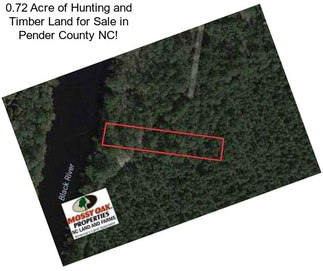 0.72 Acre of Hunting and Timber Land for Sale in Pender County NC!