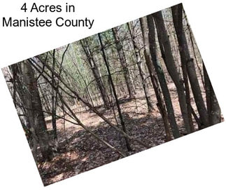 4 Acres in Manistee County