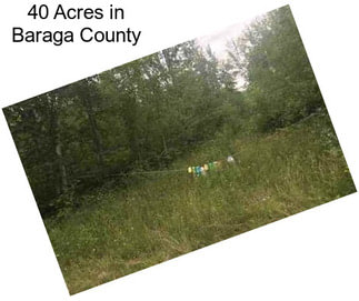 40 Acres in Baraga County