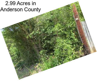 2.99 Acres in Anderson County