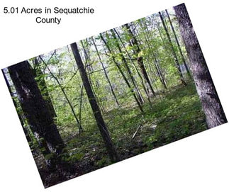 5.01 Acres in Sequatchie County
