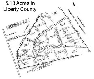 5.13 Acres in Liberty County