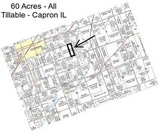 60 Acres - All Tillable - Capron IL