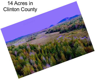 14 Acres in Clinton County