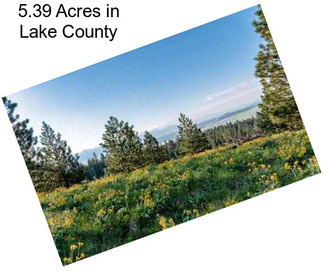 5.39 Acres in Lake County