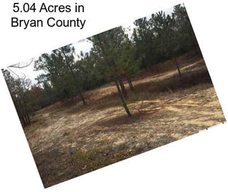 5.04 Acres in Bryan County