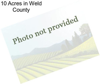 10 Acres in Weld County