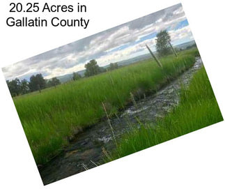 20.25 Acres in Gallatin County