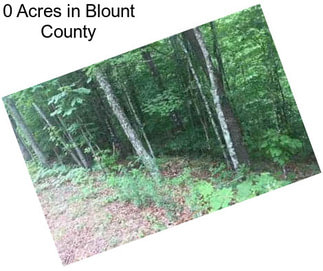 0 Acres in Blount County