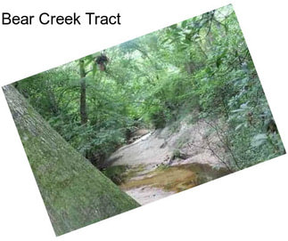 Bear Creek Tract