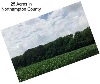 25 Acres in Northampton County