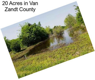 20 Acres in Van Zandt County