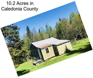 10.2 Acres in Caledonia County