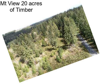 Mt View 20 acres of Timber