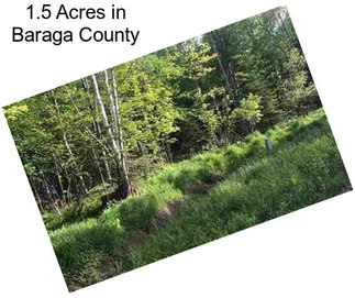 1.5 Acres in Baraga County