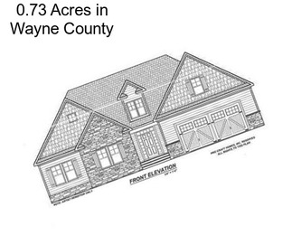 0.73 Acres in Wayne County
