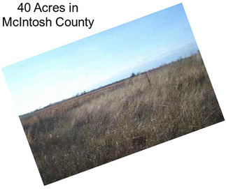 40 Acres in McIntosh County