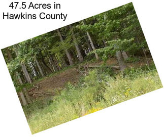 47.5 Acres in Hawkins County