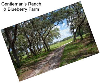 Gentleman\'s Ranch & Blueberry Farm