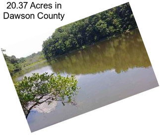 20.37 Acres in Dawson County