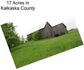 17 Acres in Kalkaska County