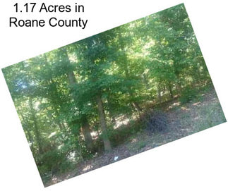 1.17 Acres in Roane County