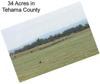 34 Acres in Tehama County
