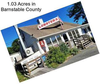 1.03 Acres in Barnstable County