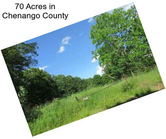 70 Acres in Chenango County