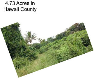 4.73 Acres in Hawaii County