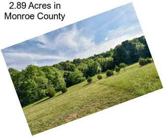 2.89 Acres in Monroe County