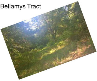 Bellamys Tract
