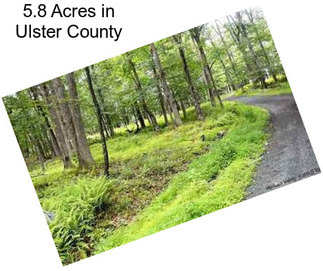 5.8 Acres in Ulster County