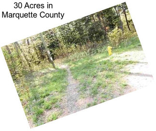 30 Acres in Marquette County