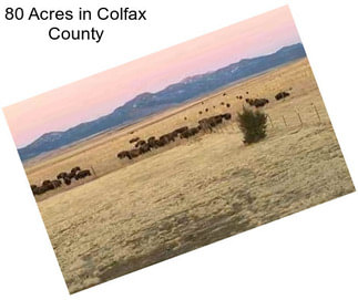 80 Acres in Colfax County
