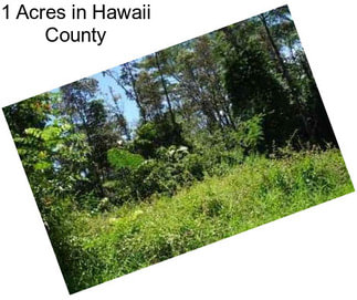 1 Acres in Hawaii County