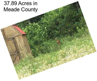 37.89 Acres in Meade County