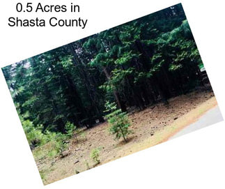 0.5 Acres in Shasta County