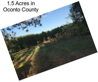 1.5 Acres in Oconto County