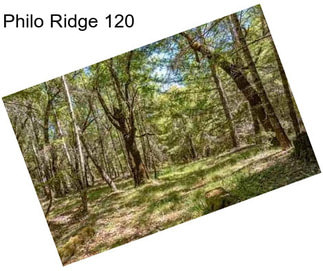 Philo Ridge 120