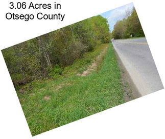 3.06 Acres in Otsego County