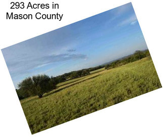 293 Acres in Mason County