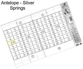 Antelope - Silver Springs