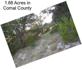 1.66 Acres in Comal County